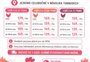 Prodej slepic